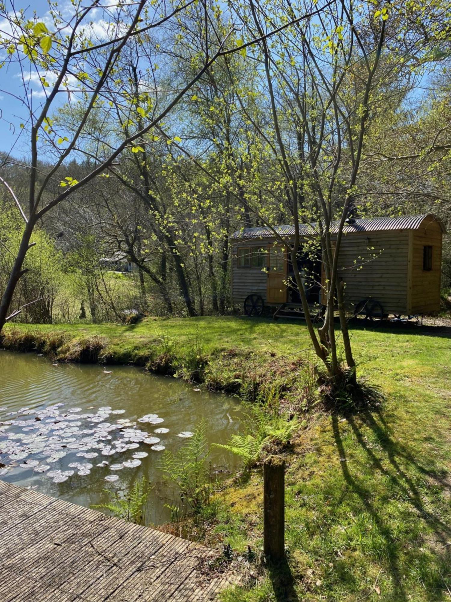 The Goose Nest Luxury Lakeside Shepherd Hut In Cardinham Woods, Cornwall Eksteriør bilde