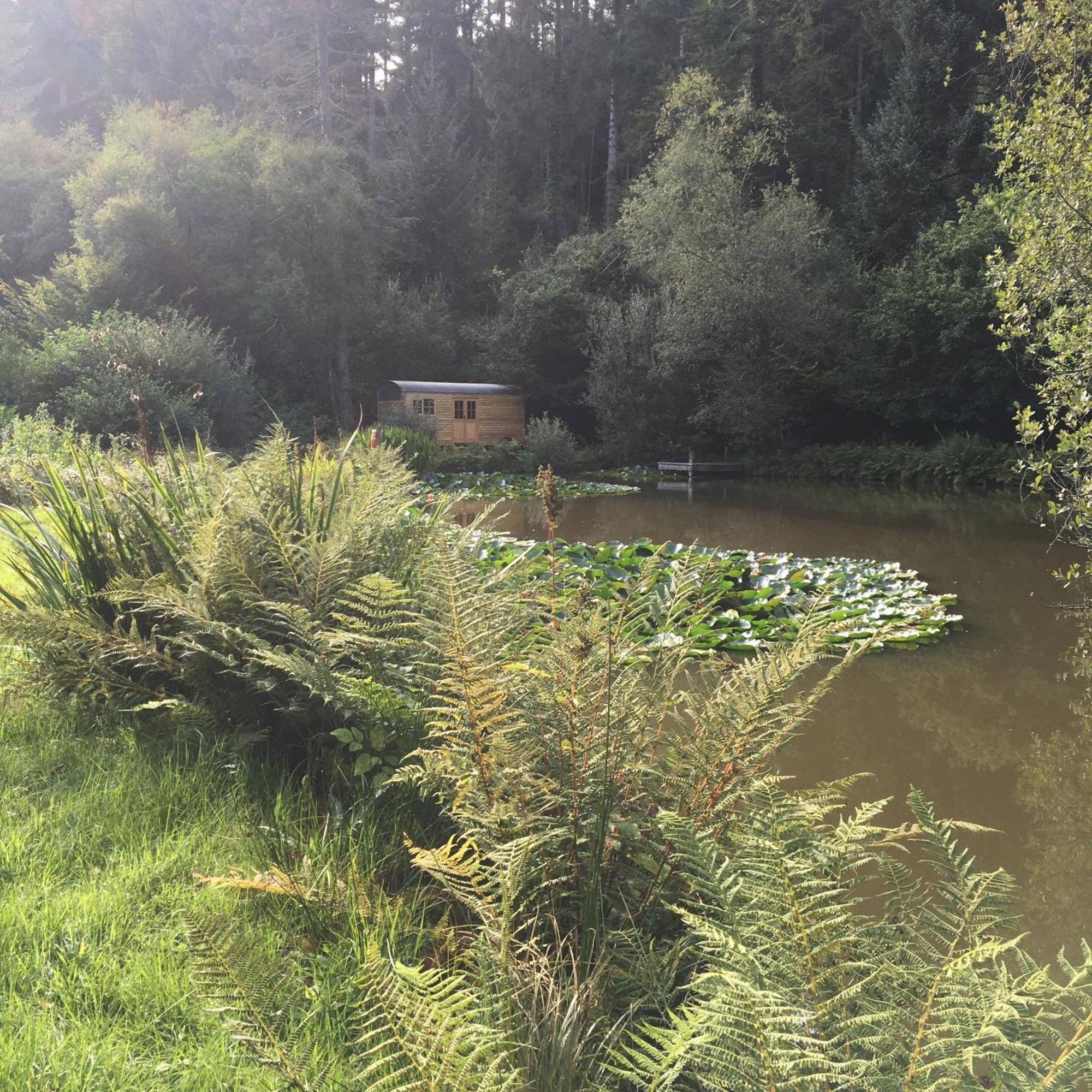The Goose Nest Luxury Lakeside Shepherd Hut In Cardinham Woods, Cornwall Eksteriør bilde